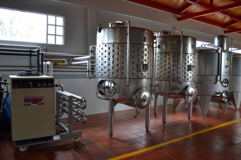 cave-BARGEMON-min_wine_production_cantine_winery_drink_alcohol_vine_beverage-902036